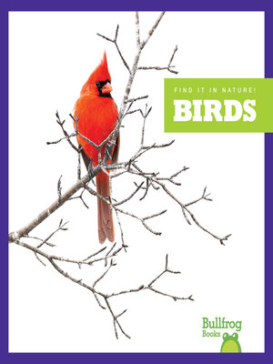cover image of Birds